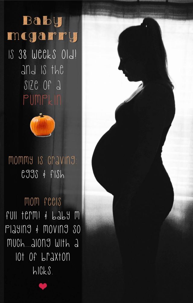 Week 38 card from the original 2013 bump album: a window silhouette, baby the size of a pumpkin